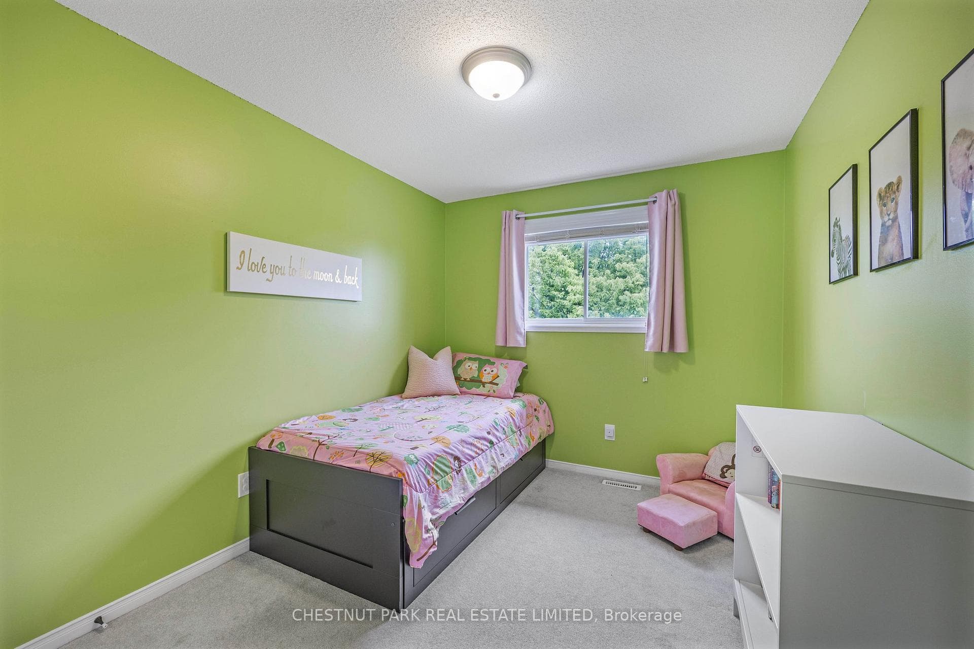 162 Emms Drive photo 21