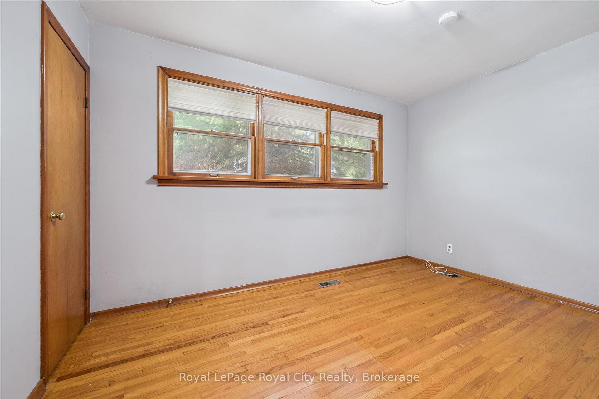 87 Cassino Avenue photo 21