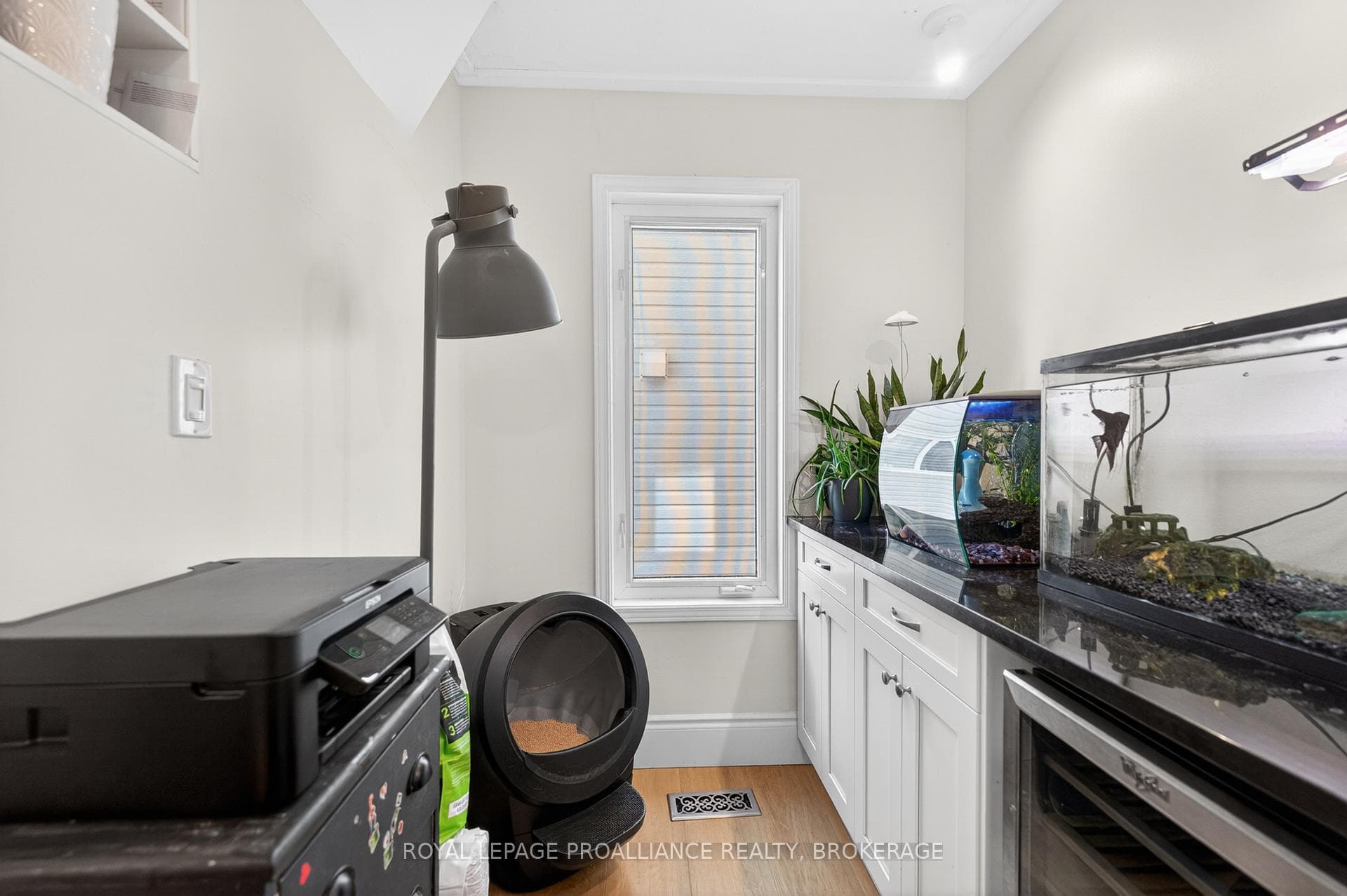 87 Dalgleish Avenue photo 10