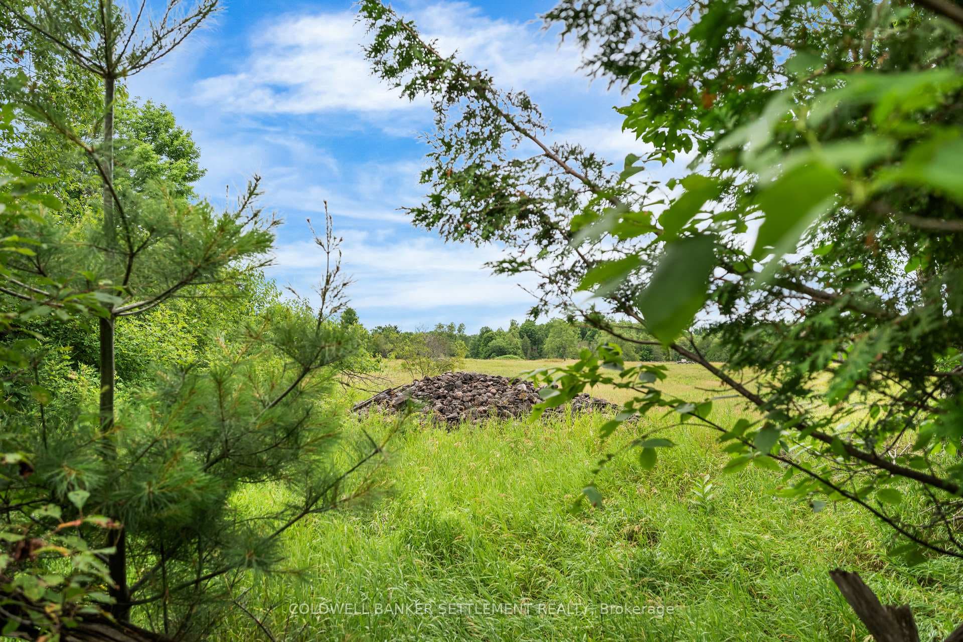 731 Herron Mills Road photo 12