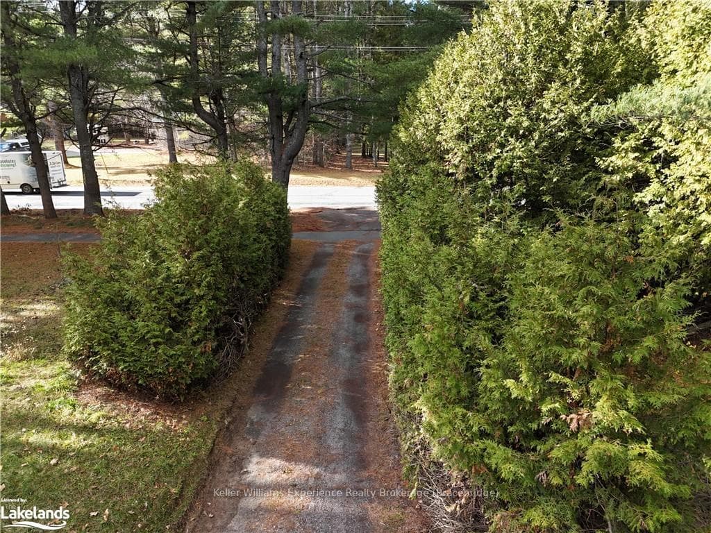 View of driveway towards road