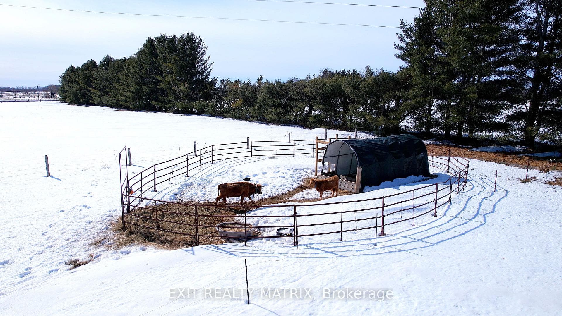 15289 County Road 9 Road photo 35