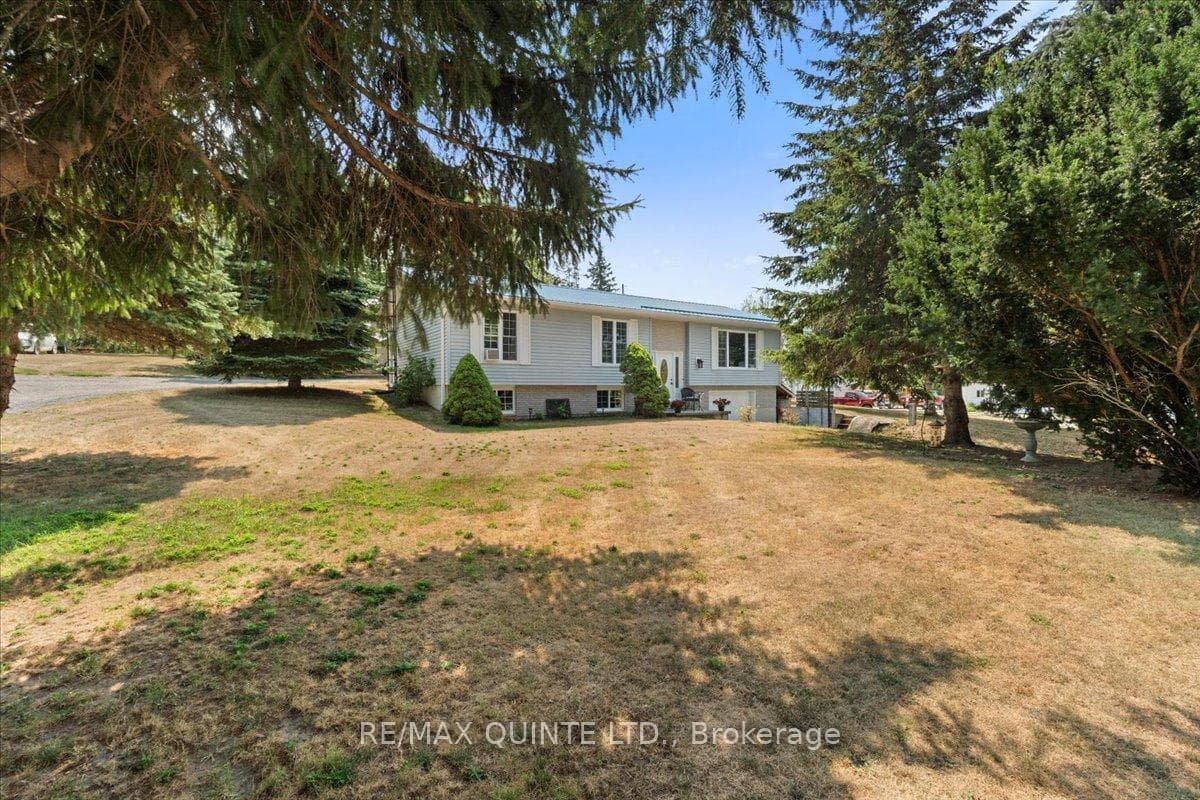 front of home - large yard