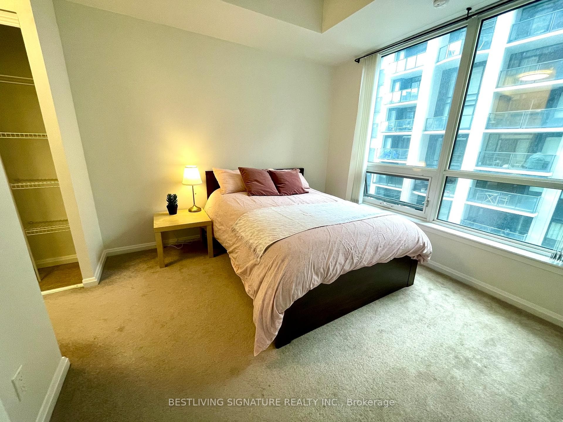 35 Hayden Street Unit 909 photo 9