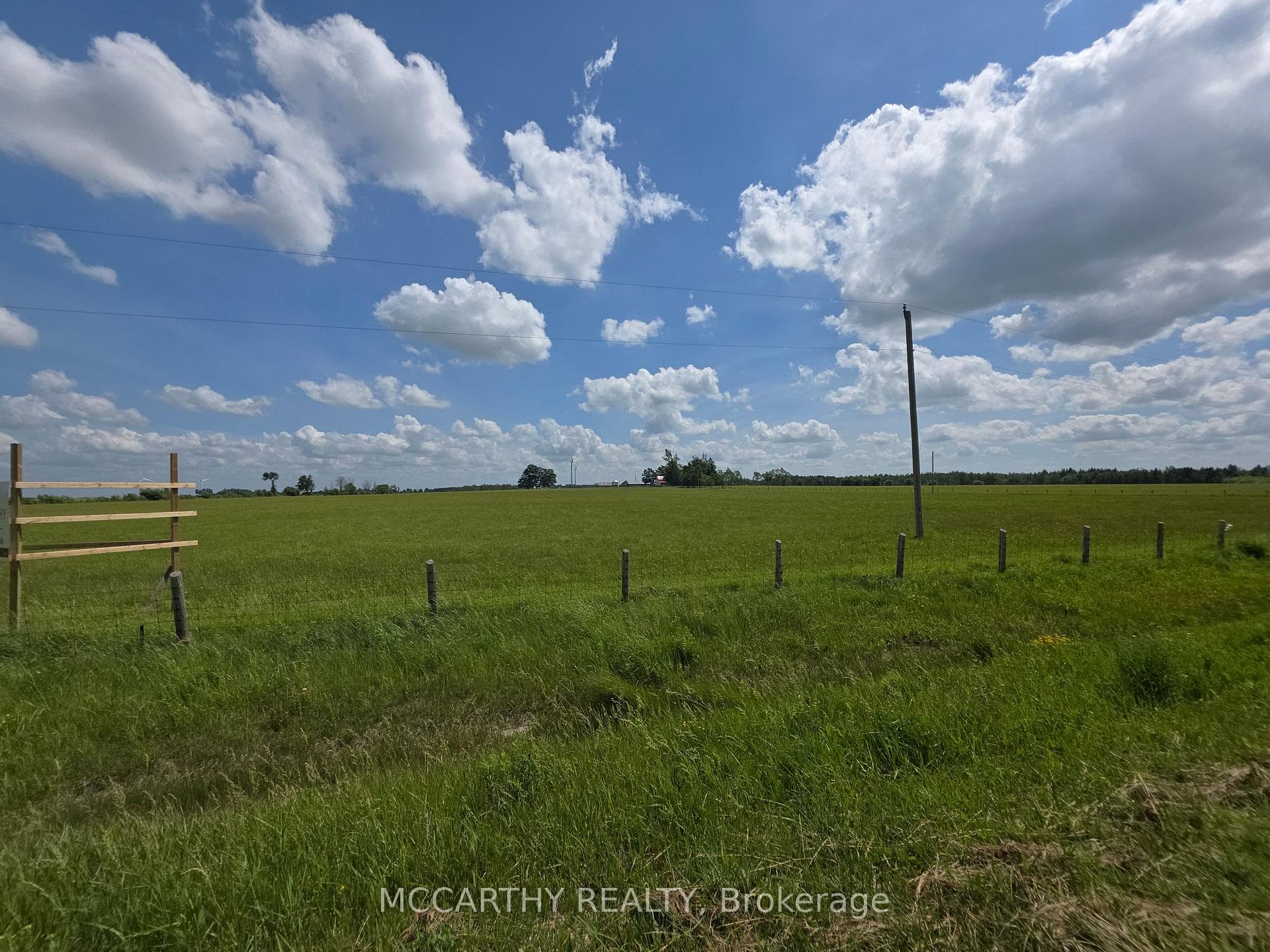 501098 Hwy # 89 N/A photo 26