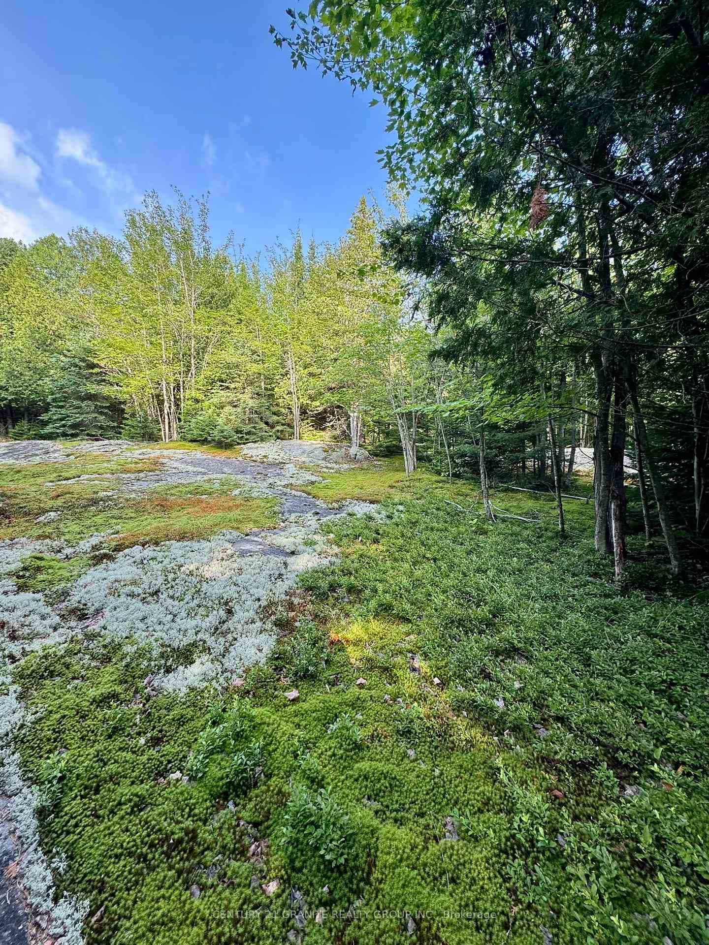 5280 Boulter Road photo 12