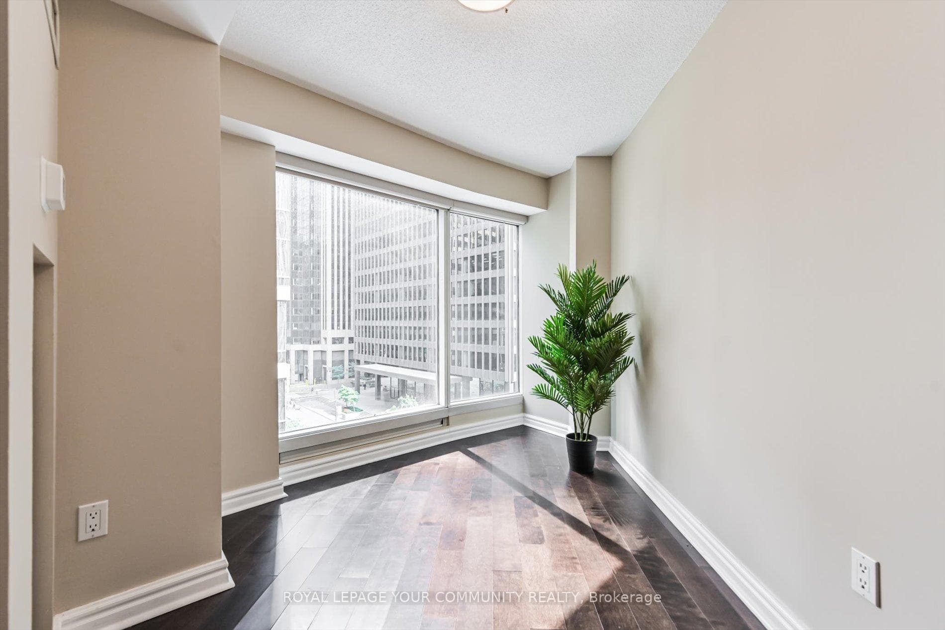 33 University Avenue photo 22