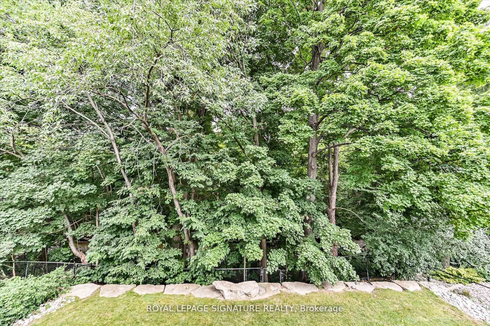 3417 Sanderling Crescent photo 35