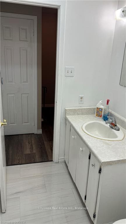 Bathroom with wood-type flooring and vanity