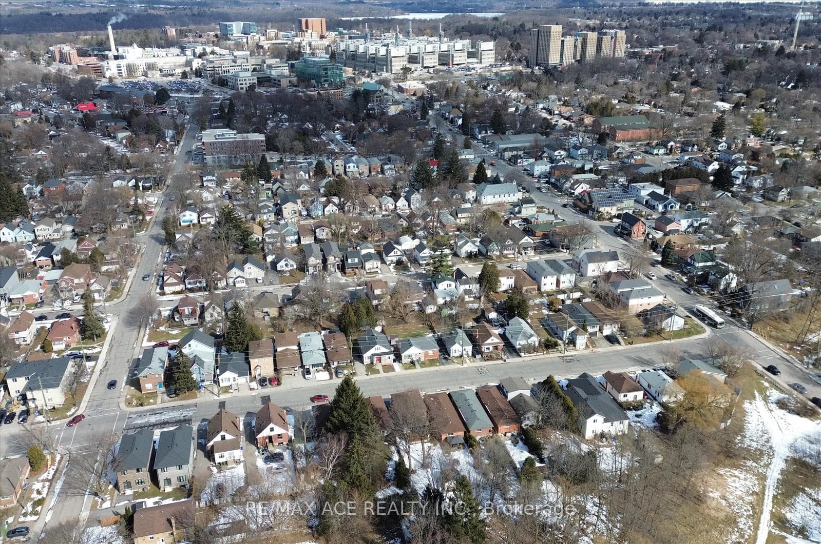 83 Ward Avenue photo 45