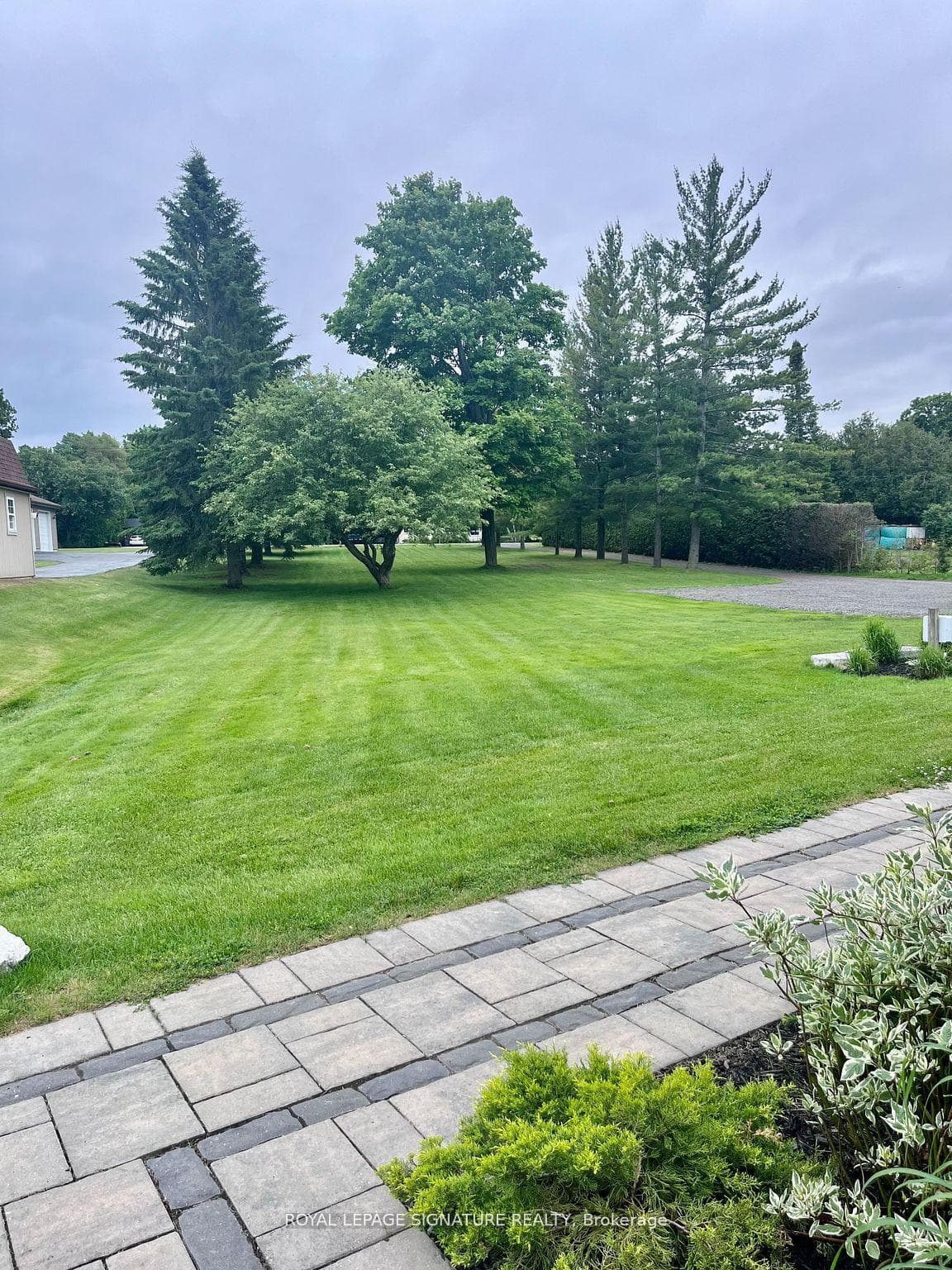 14 Maple Grove Road photo 24
