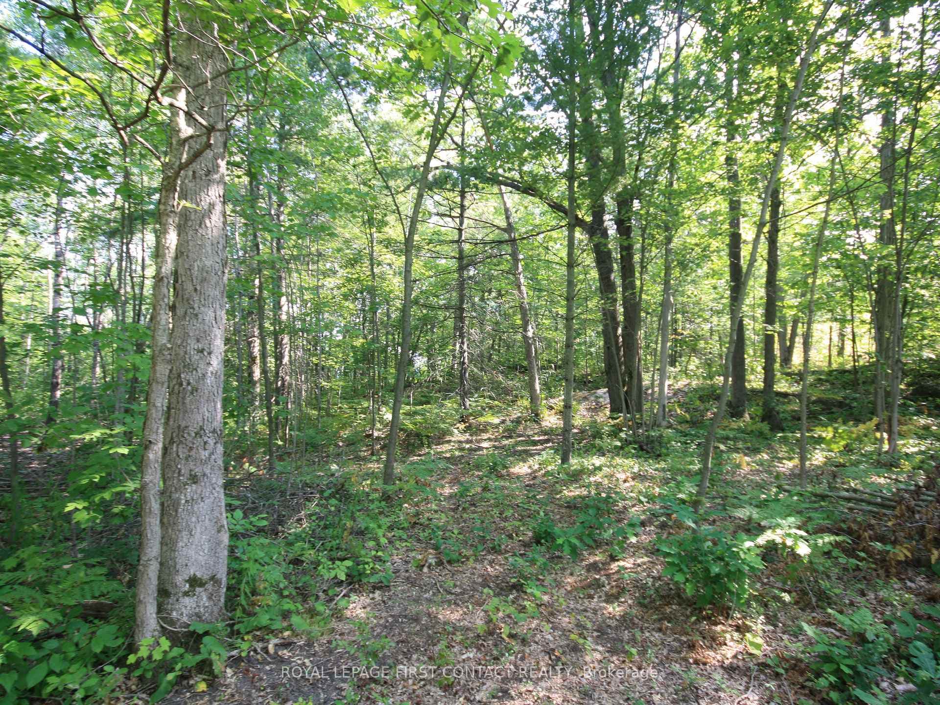 213 Birch Acres Drive photo 35