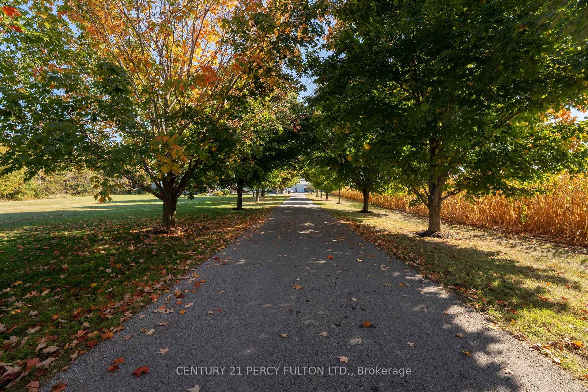5659 Gilmore Road photo 25