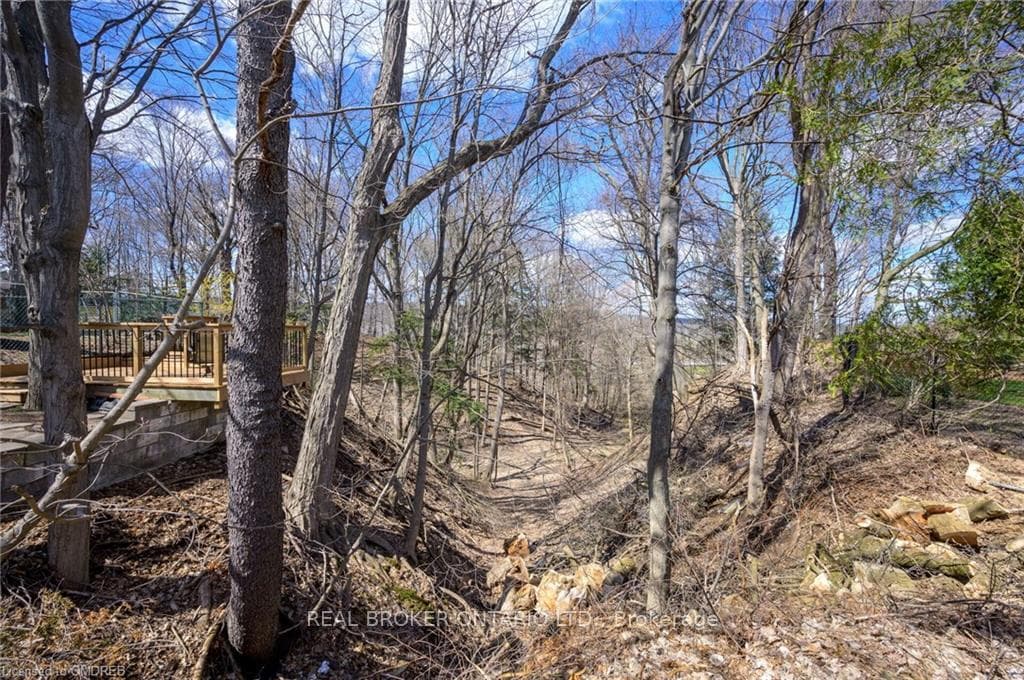 56 Bertram Drive photo 37