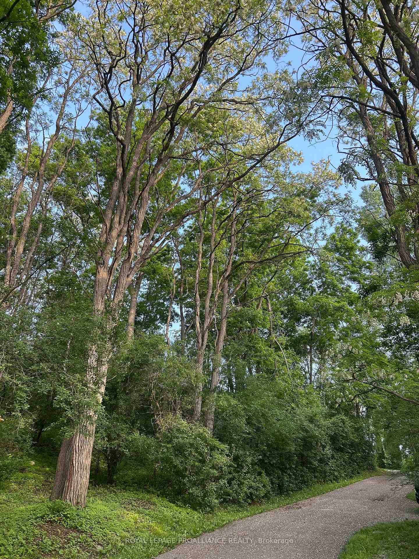 101 Zion Road photo 45