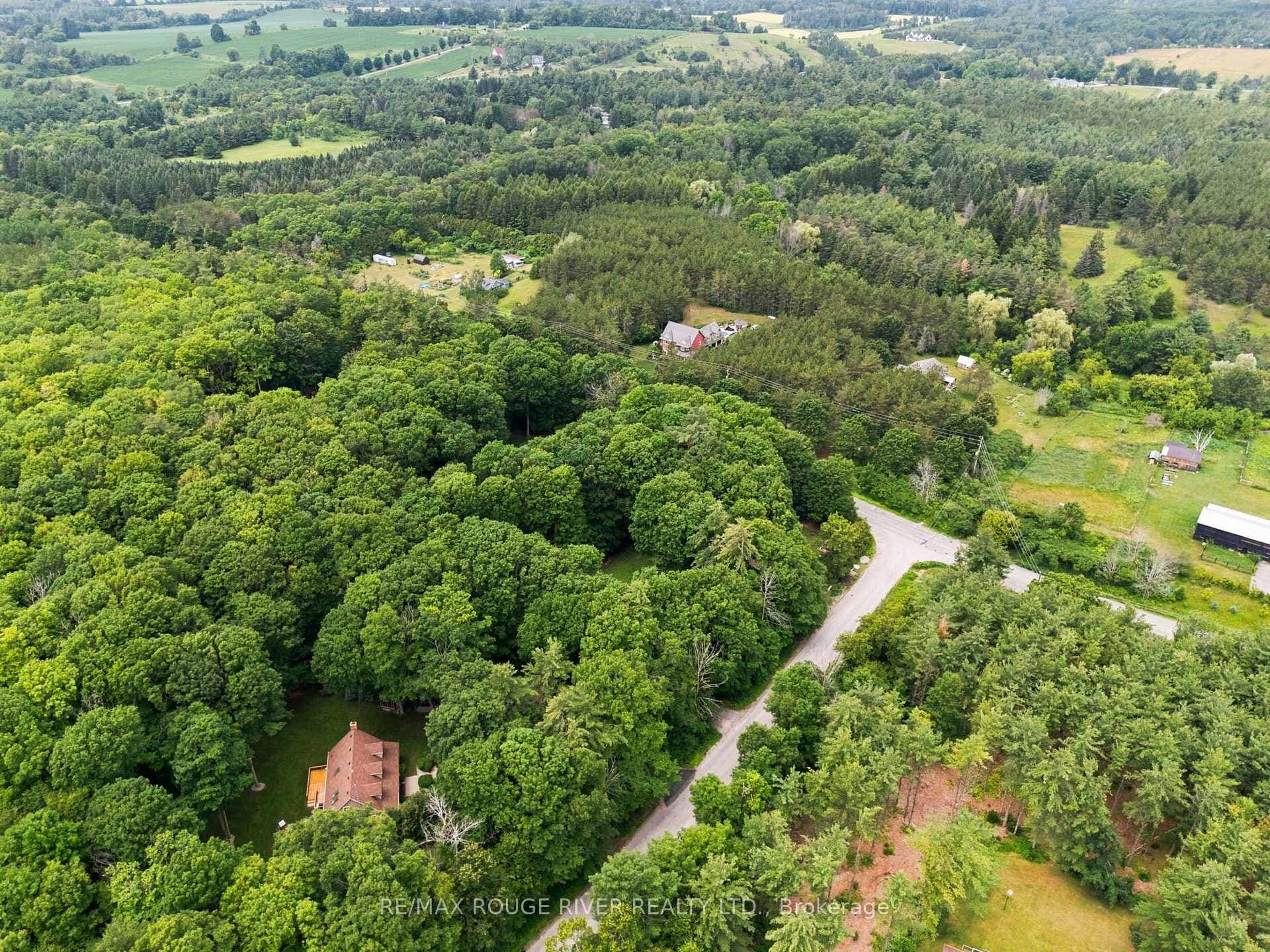 2774 Les Davey Road photo 49