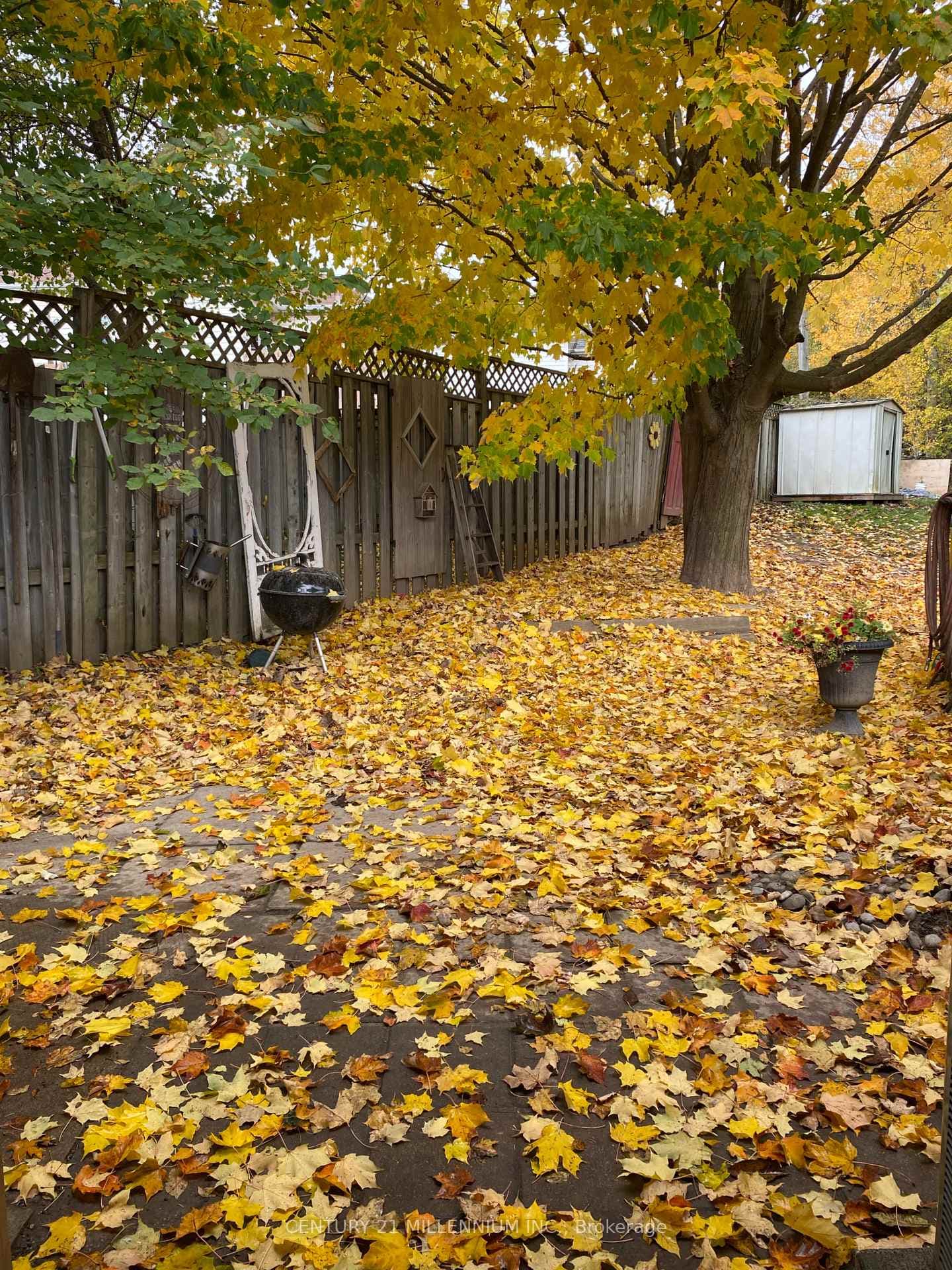400 Robert Street photo 28