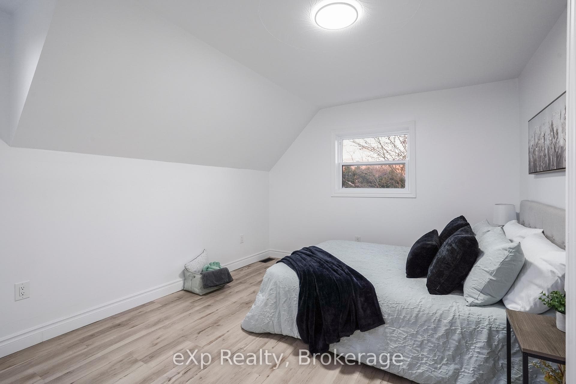 385 Elm Street photo 36