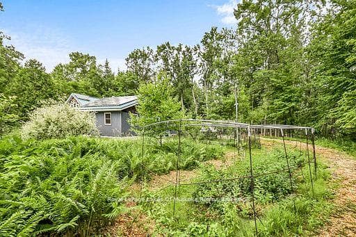 1005 Kirby's Beach Road photo 36
