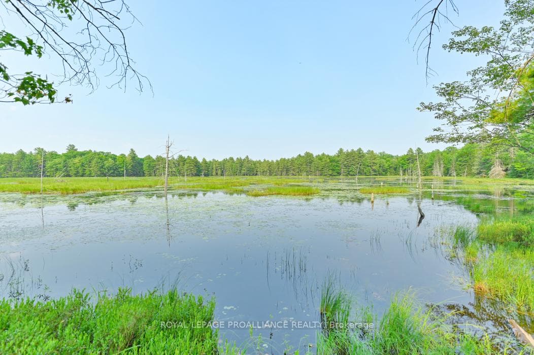 1971 Gull Lake Estates Lane photo 17