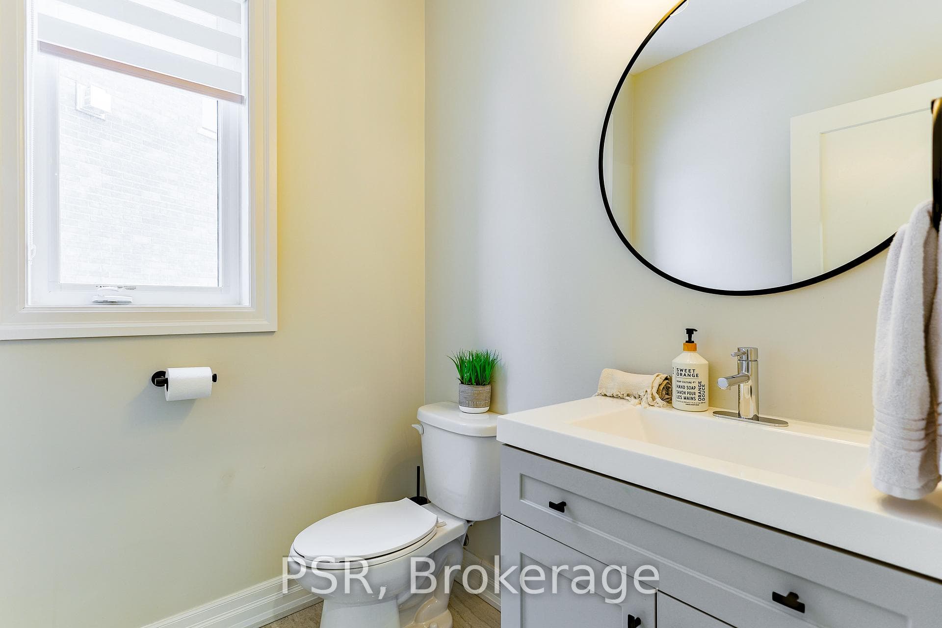 36 Scanlon Place photo 15