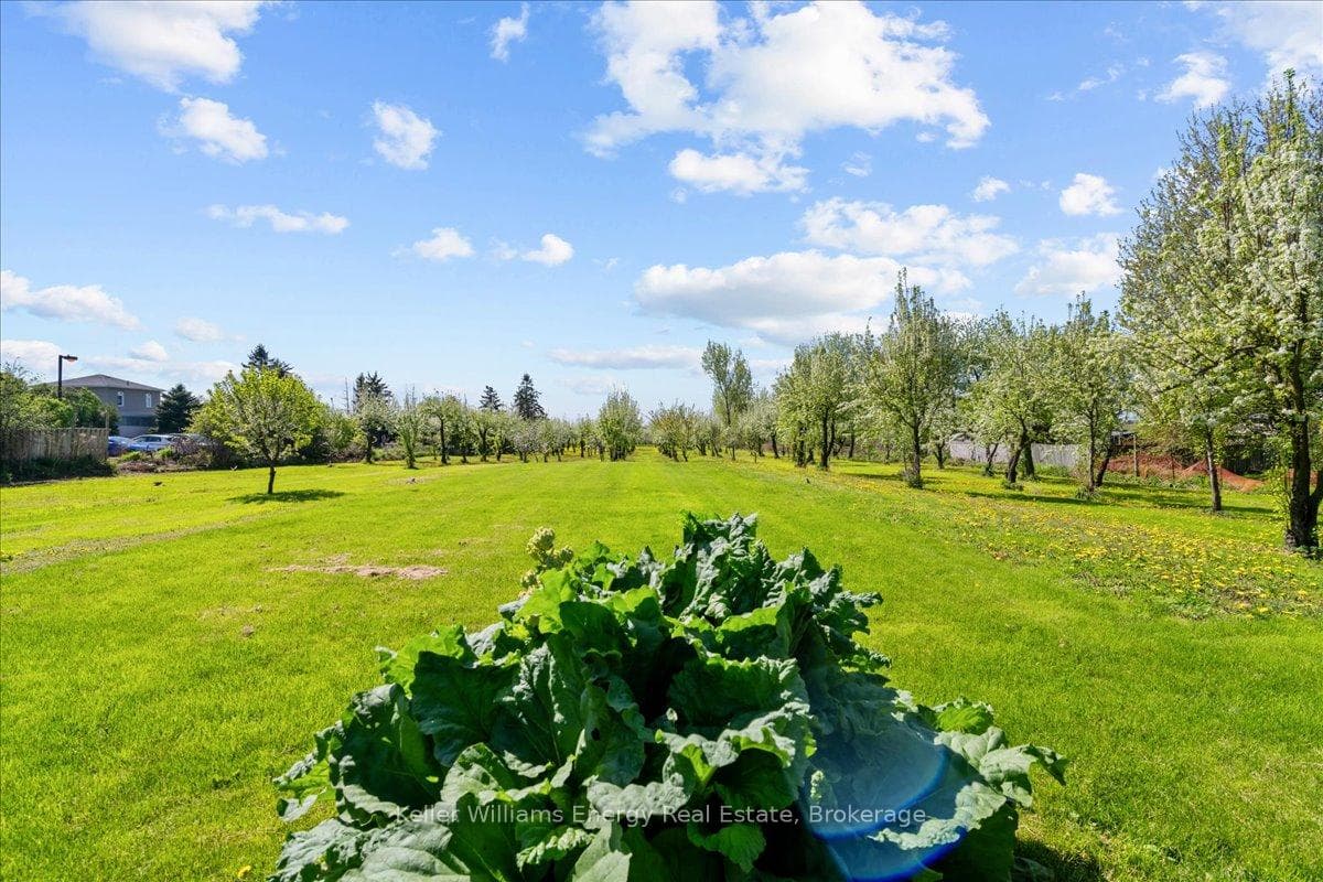 2263 Hwy 2 N/A photo 16