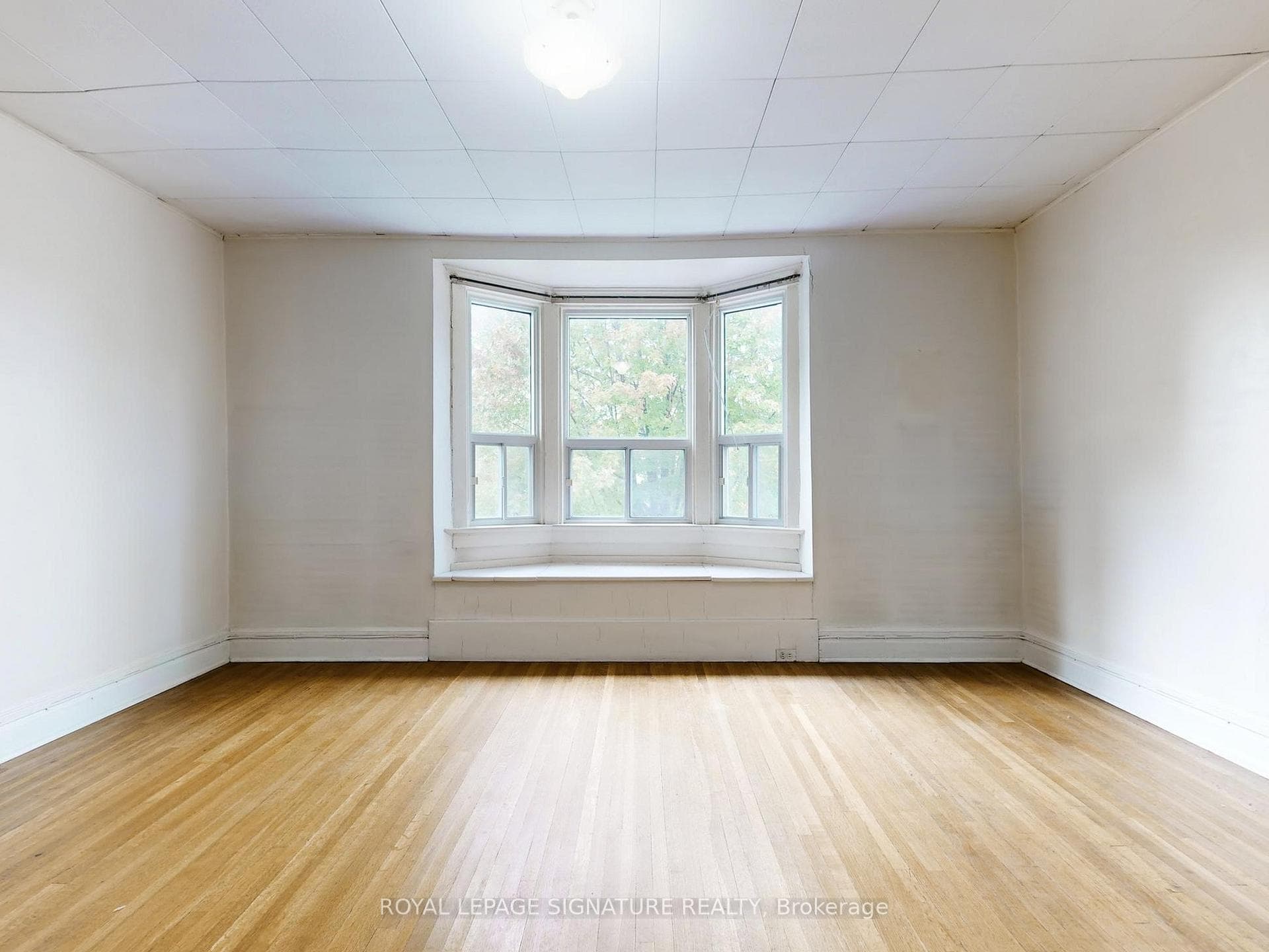 45 Arundel Avenue photo 36