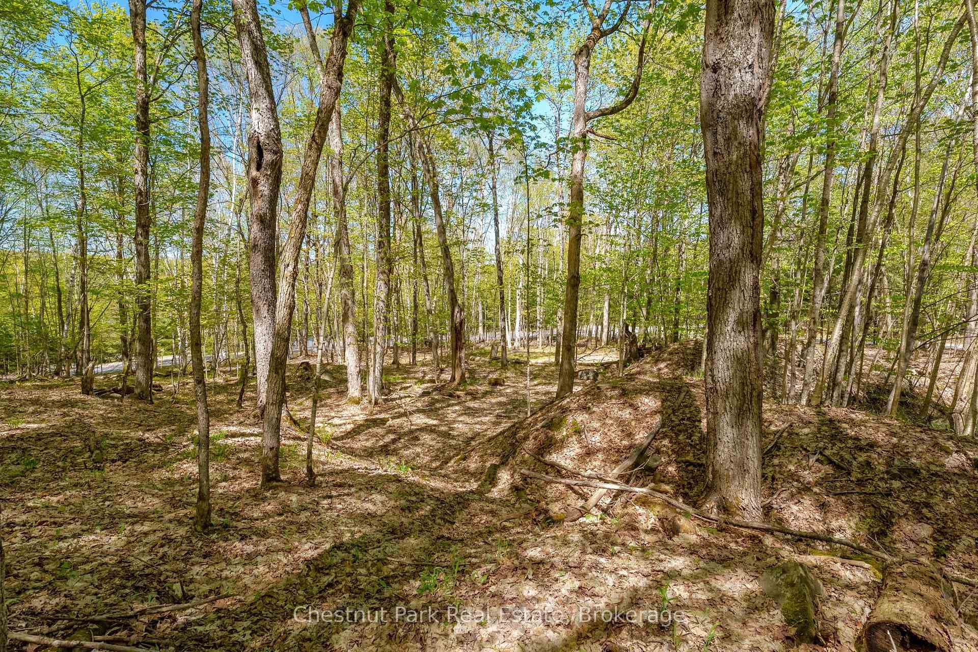 148 Vernon Lane photo 15