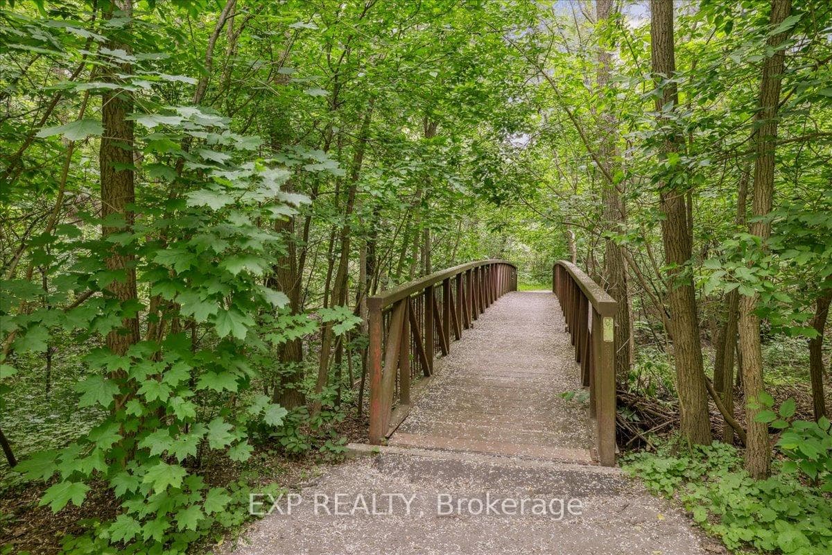 Scenic Trails