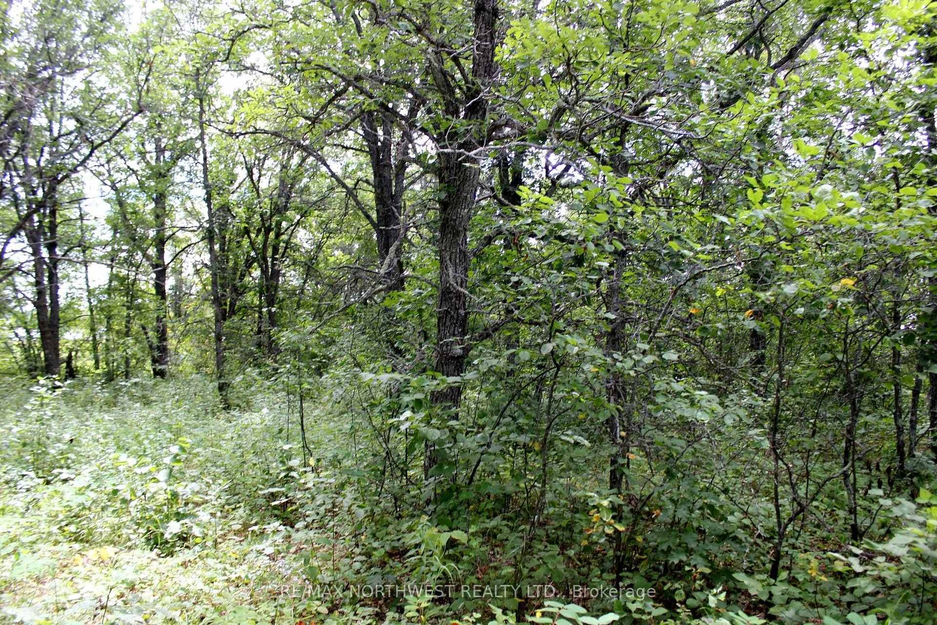 220 MORRISON RD photo 18