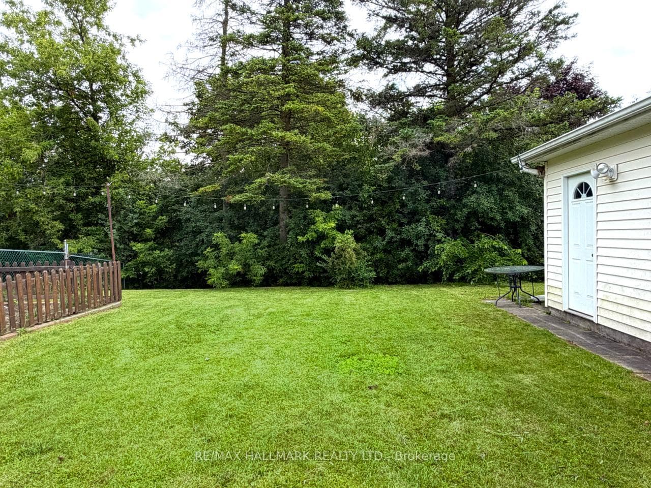 13 Patrick Drive photo 47