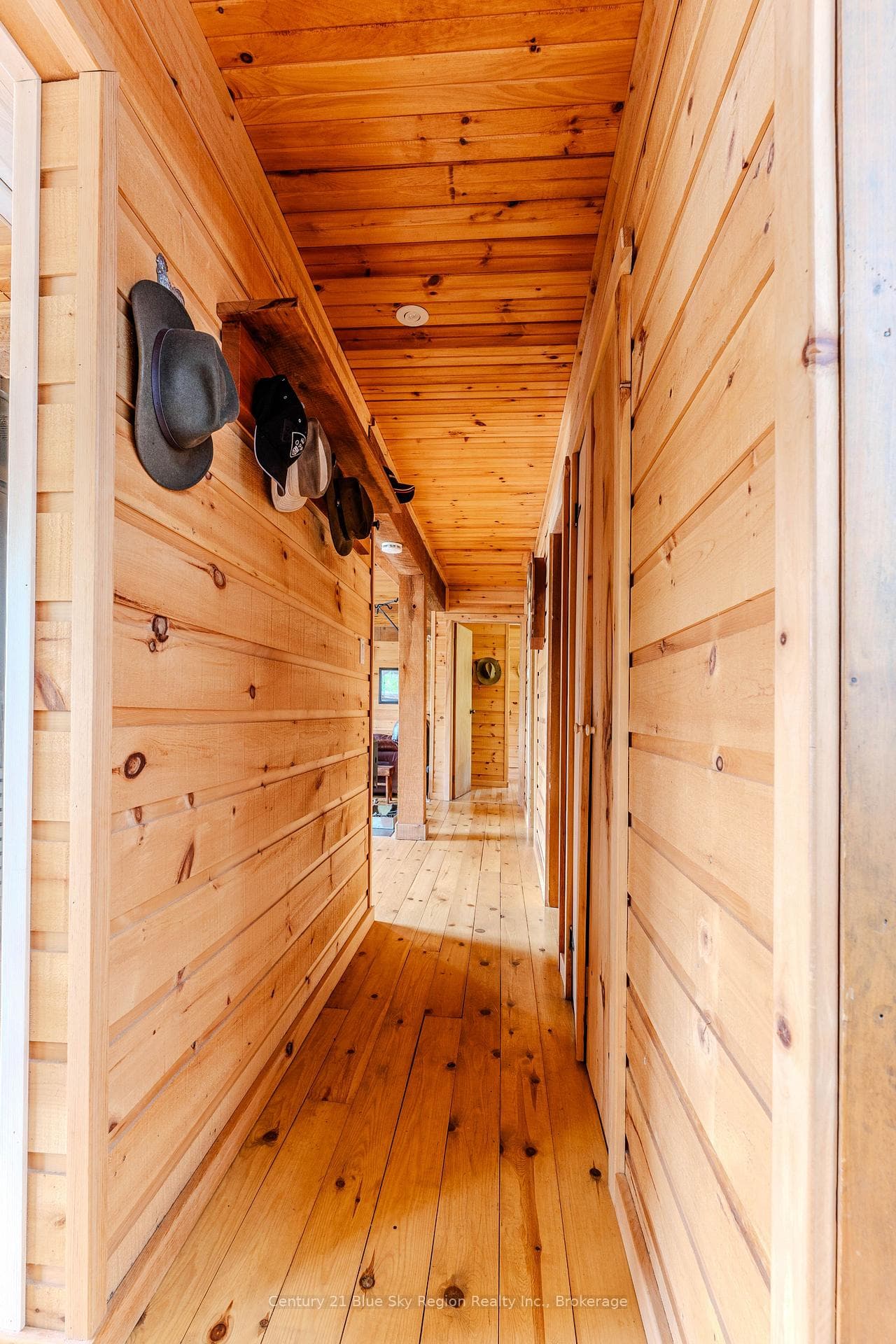 10385 RABBIT LAKE N/A photo 18