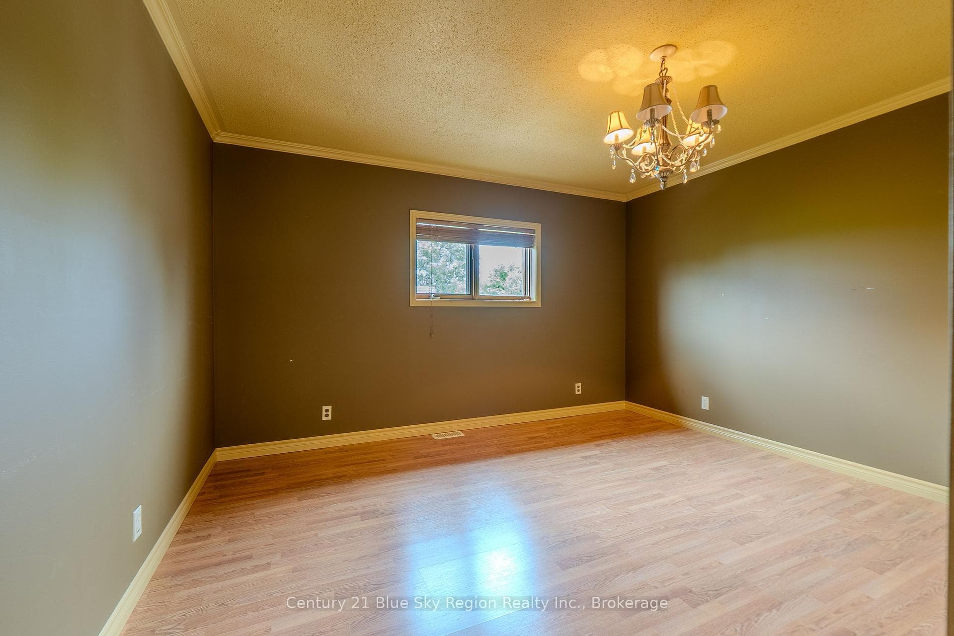243 Southview Crescent photo 21