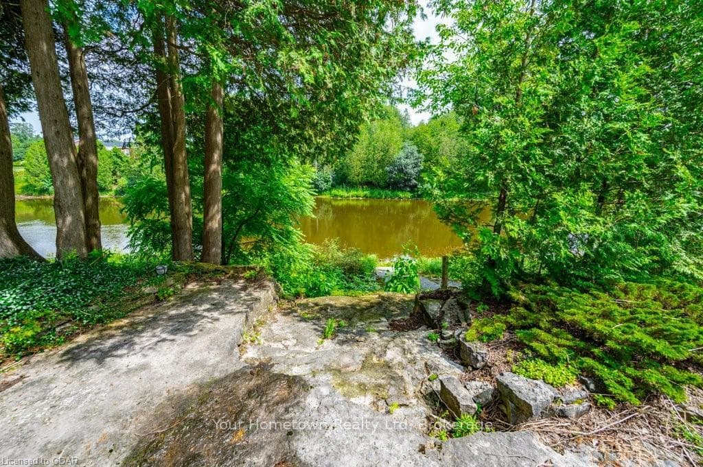 619 ORANGEVILLE Road photo 40
