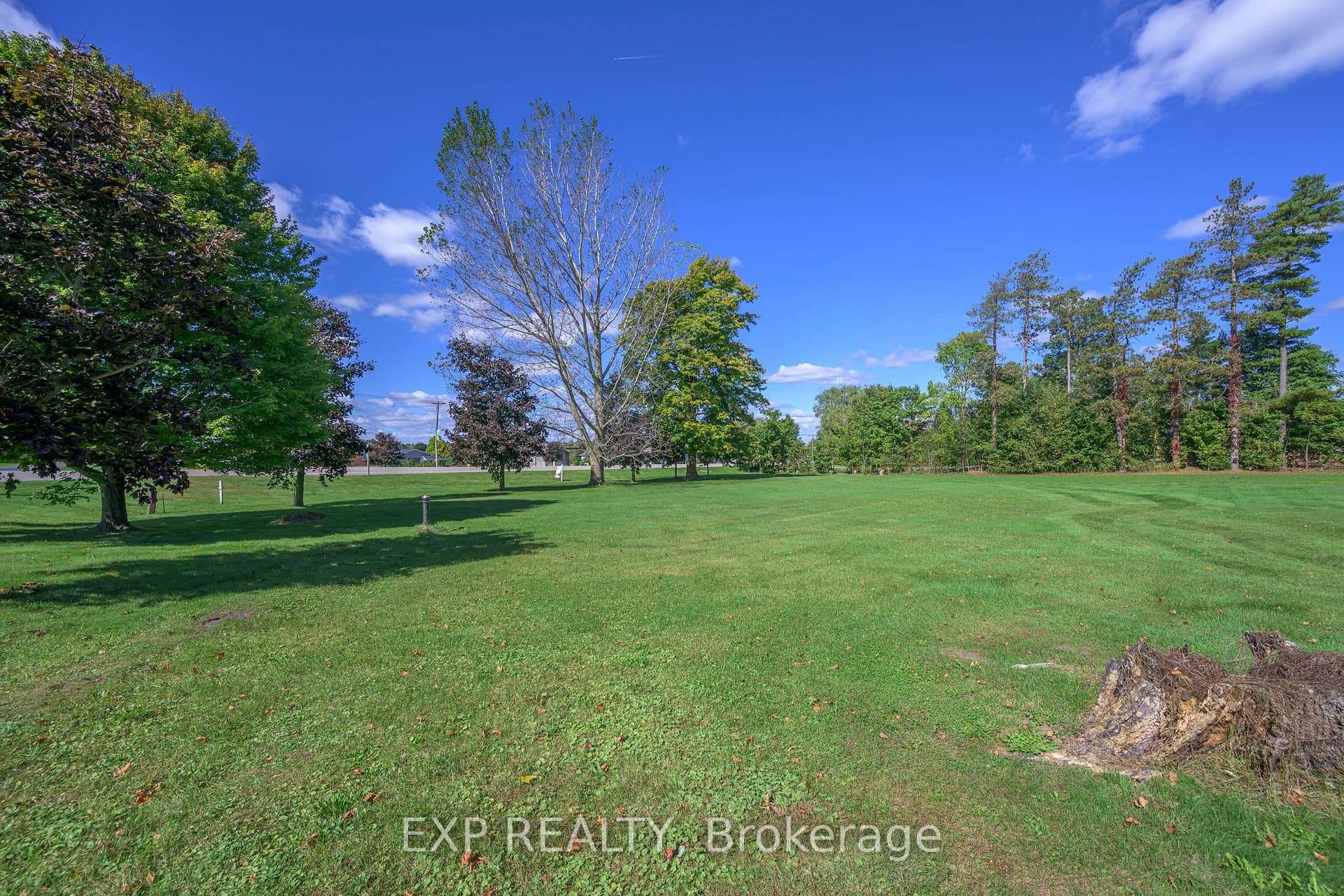 54196 EDEN Line photo 3