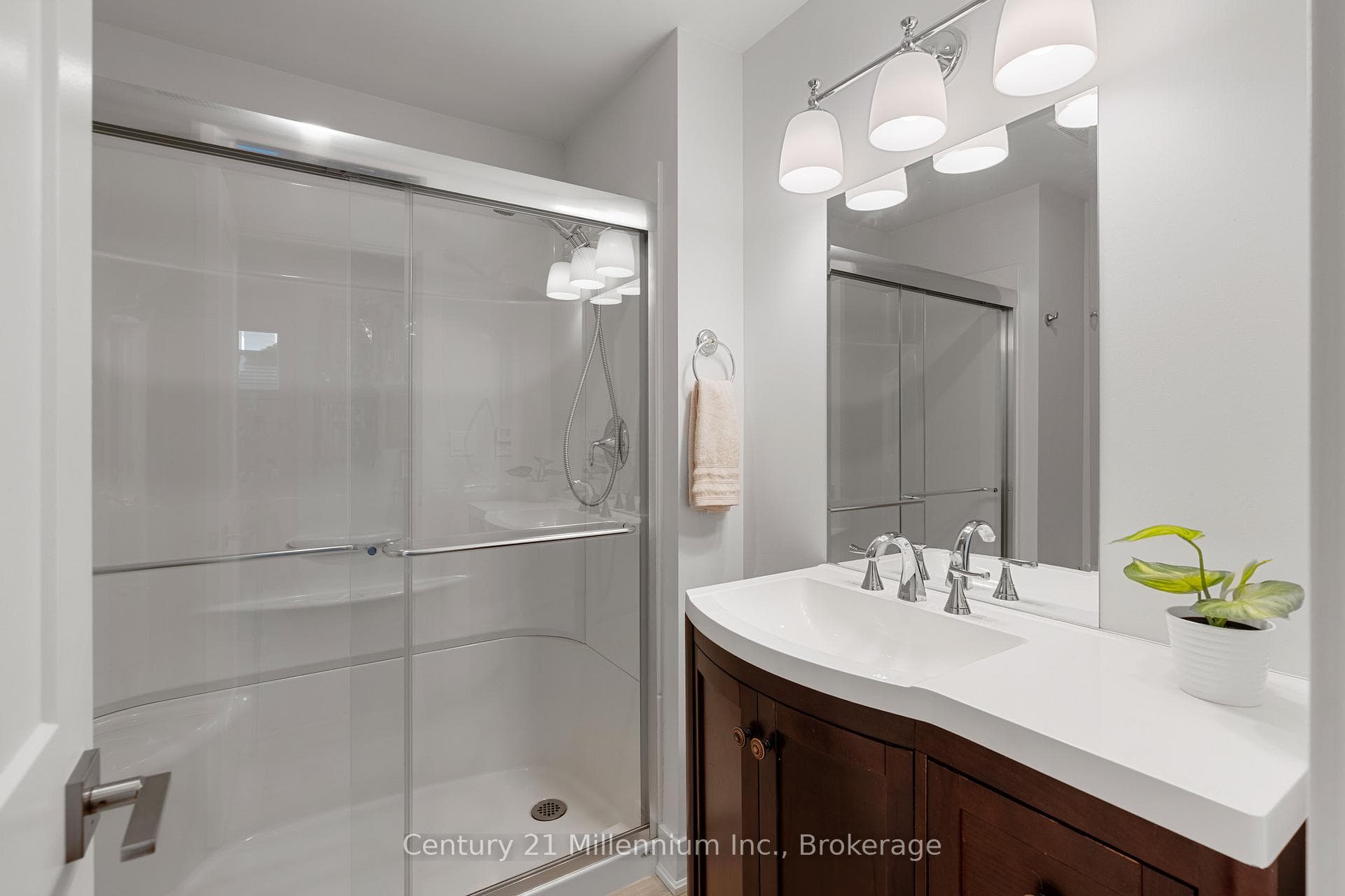 206 Snowberry Lane photo 46