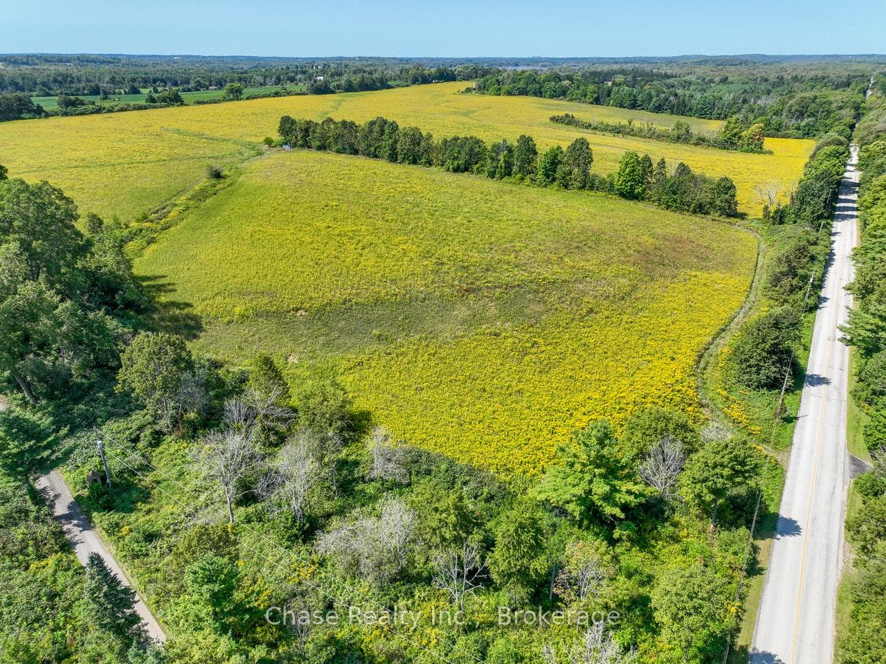 Lot 1 Milburough Line photo 2