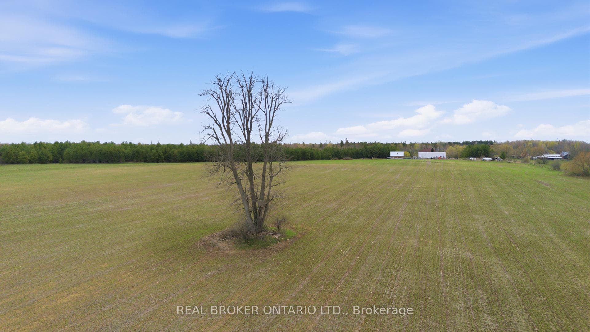 3115 PADEN Road photo 31