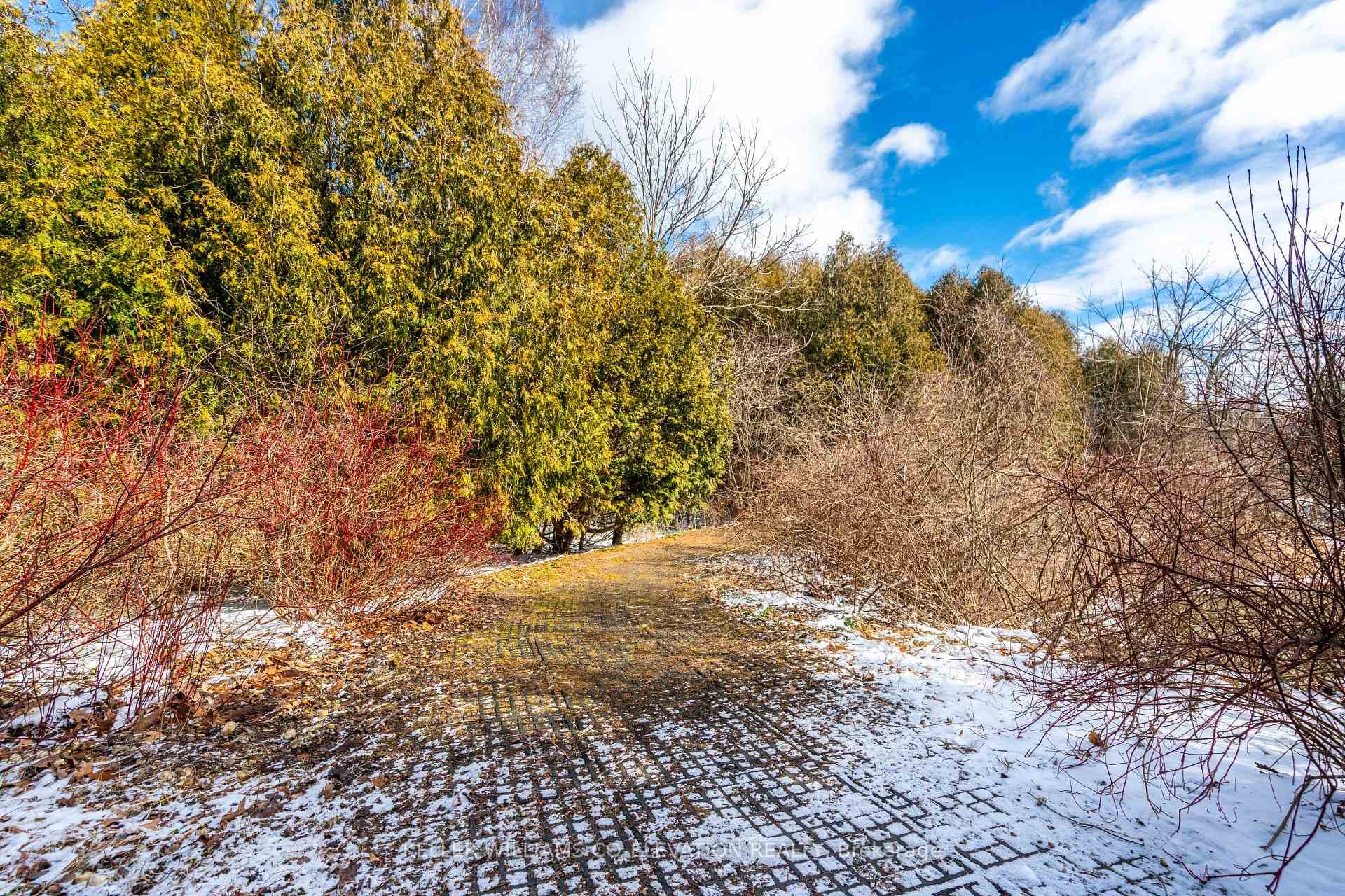 40 Elmridge Drive photo 39