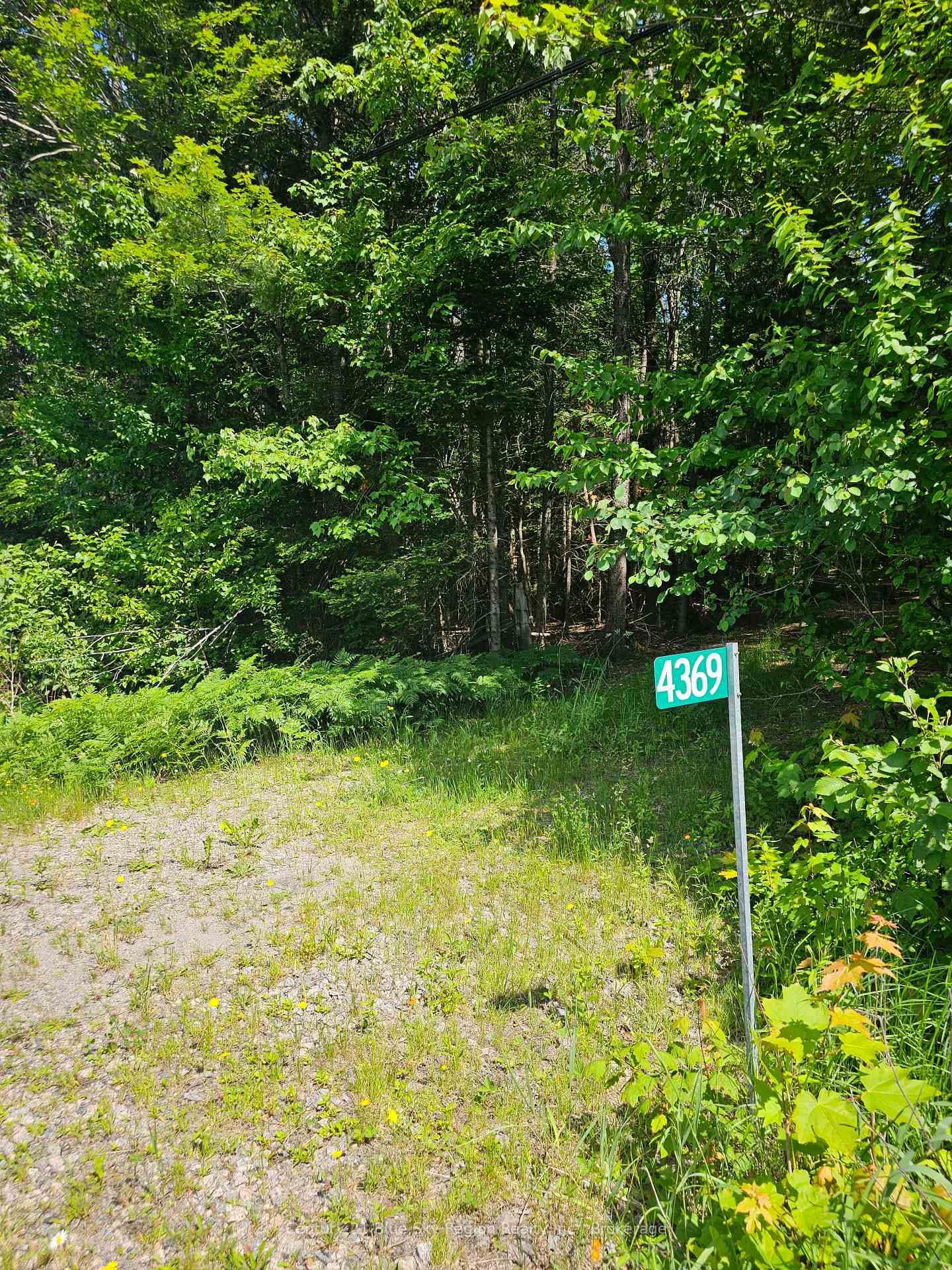 4369 Highway 534 N/A photo 1