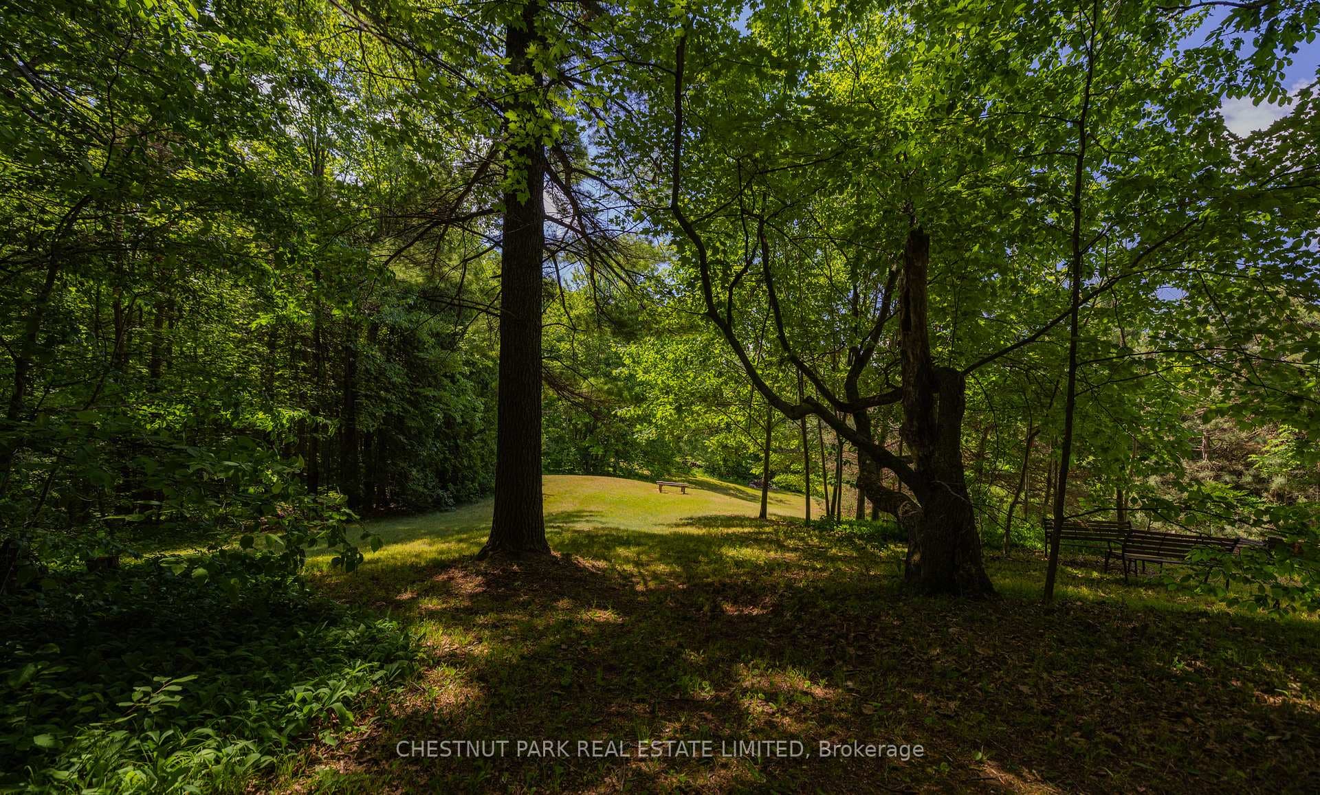 90 Ridge Road photo 37