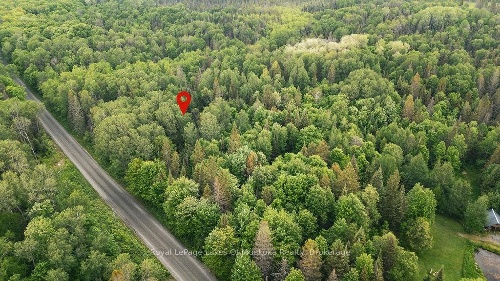 123 Ely Side Road photo 2