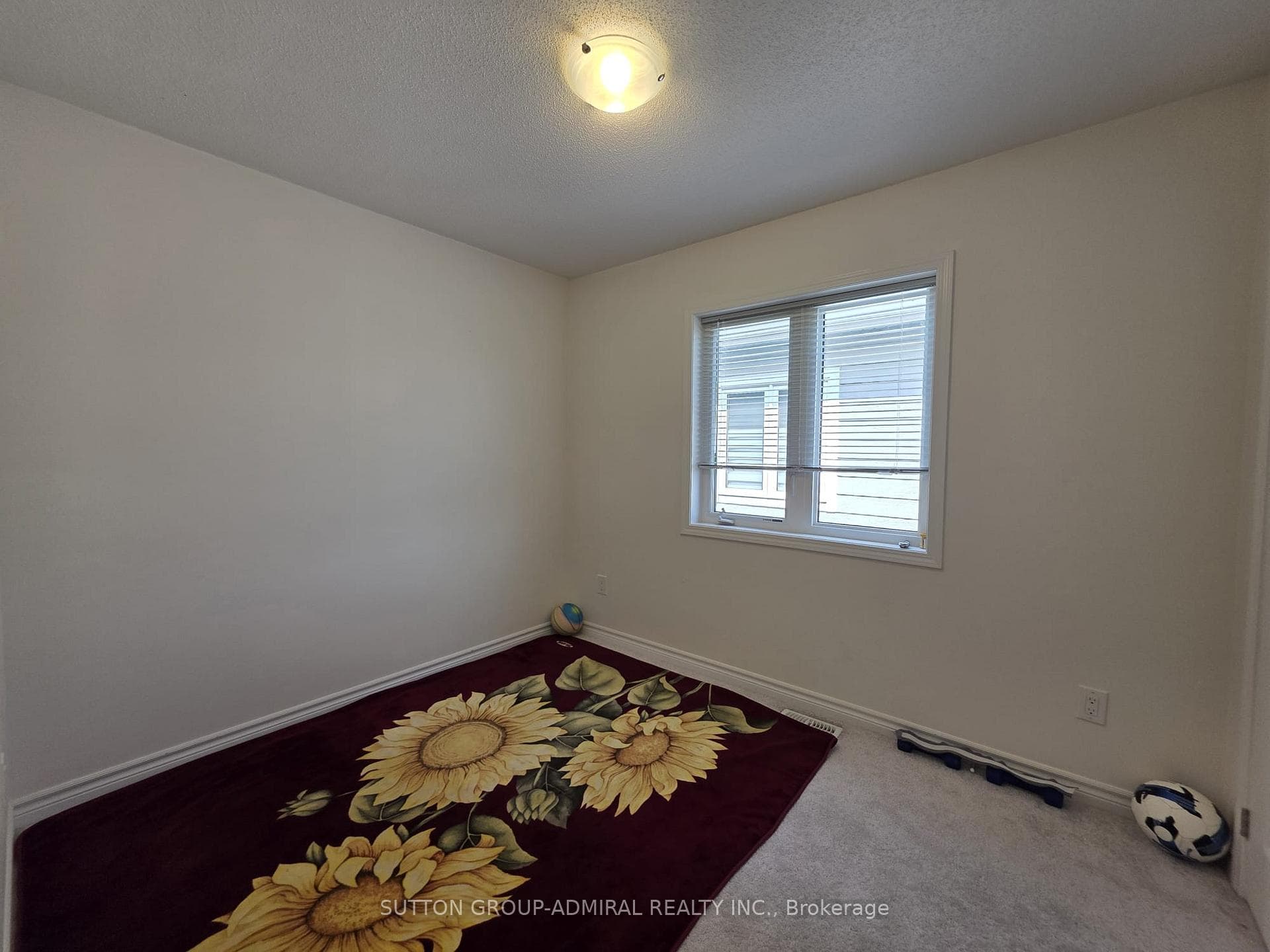 33 Sandhill Crane Drive photo 21