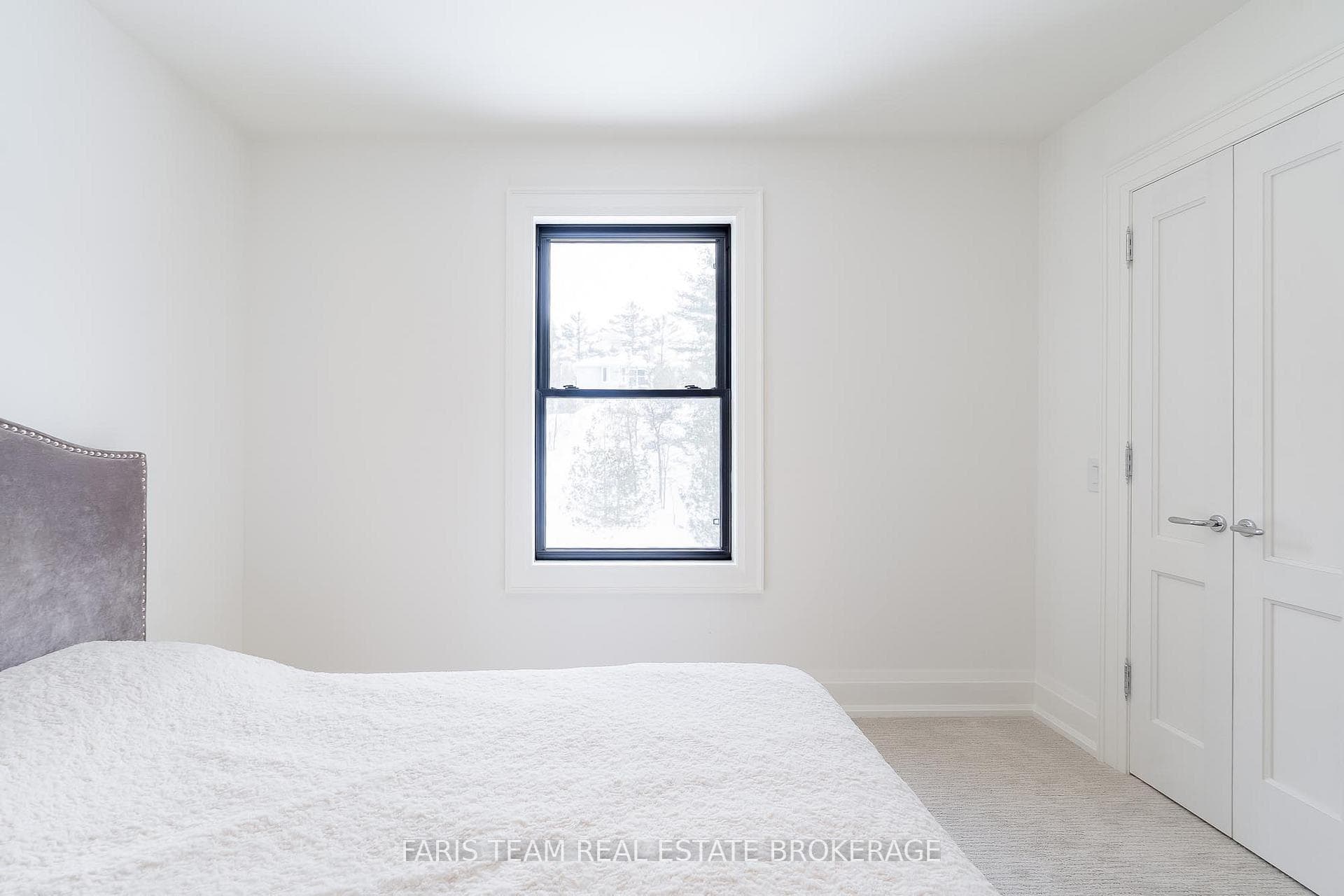 23 Trew Avenue photo 25