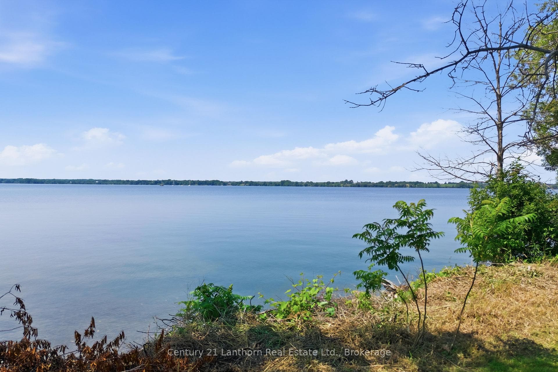 Beside 153 Prinyers Cove Crescent photo 11
