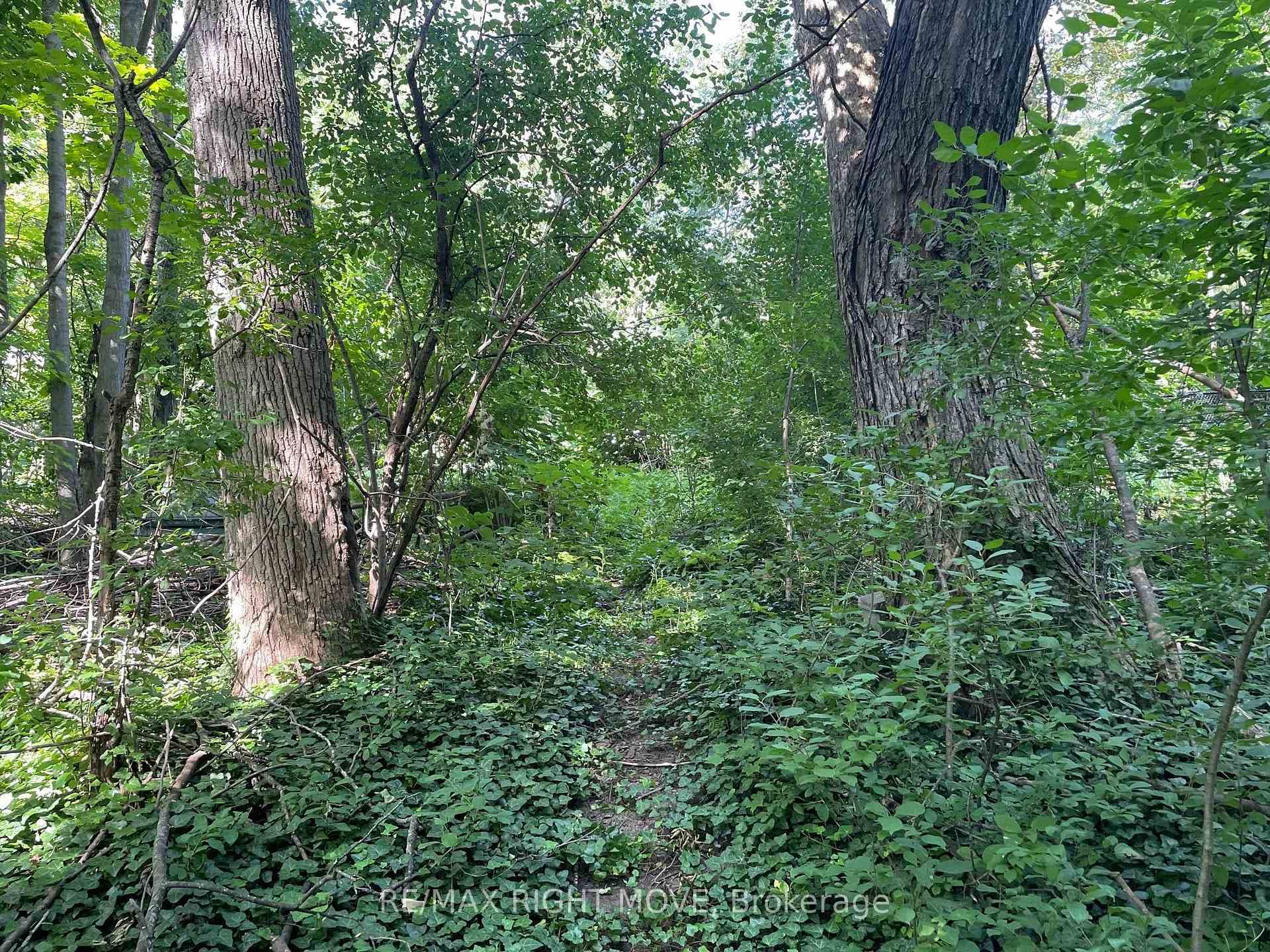 Numerous mature trees fill the lot.