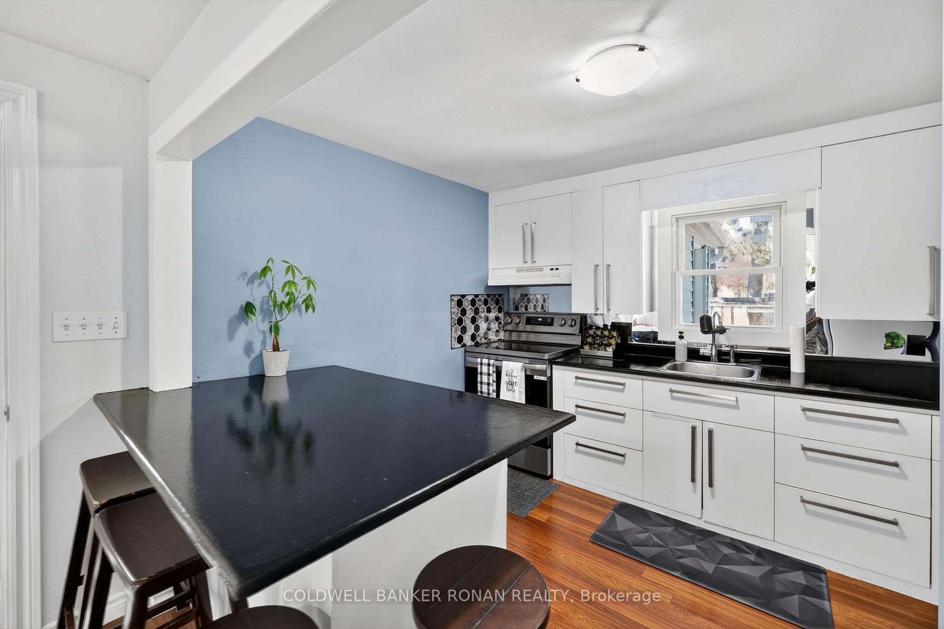 246 Weir Street photo 19