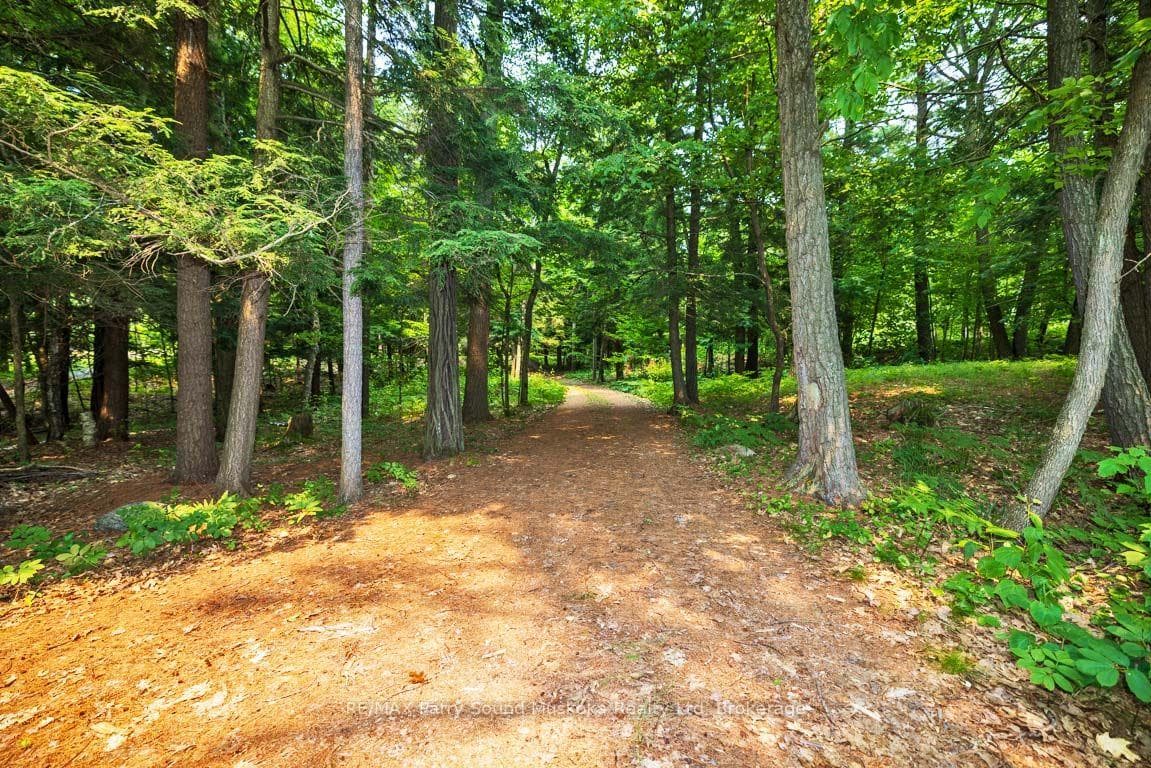 Ideal Private circular drive