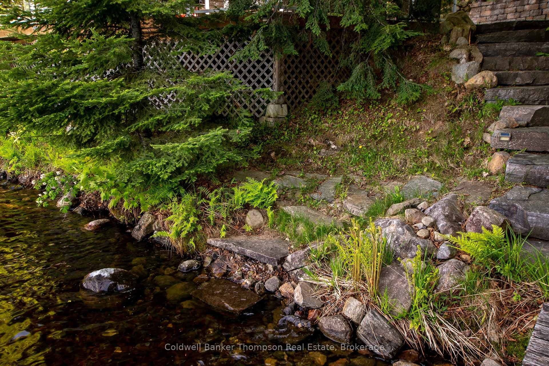 61 Maple Drive photo 29