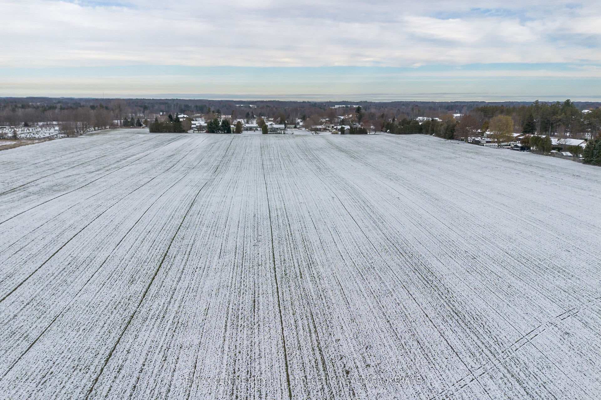 8995 Plank Road photo 23
